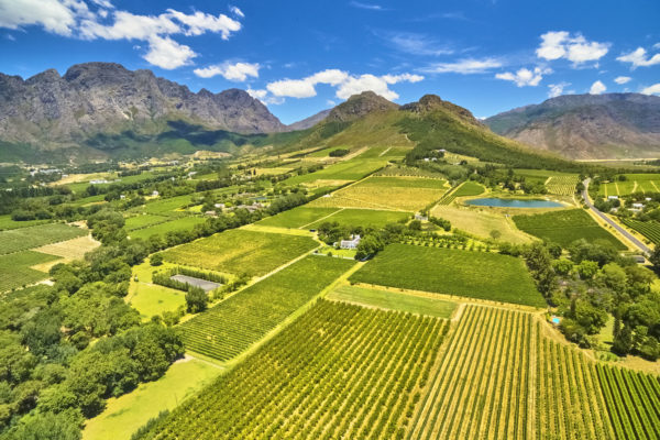 south-africa-agriculture